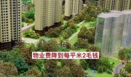 房产爆料知识大全集最新,揭秘最新房产市场动态与投资策略