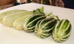 网红最新的瓜爆料外国