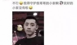 最新爆料张继科事件始末,揭秘乒乓球名将的争议漩涡与真相揭晓