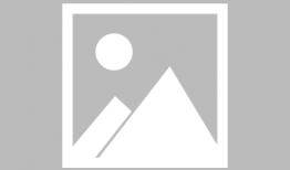 特斯拉最新爆料录音,揭秘自动驾驶系统背后的秘密