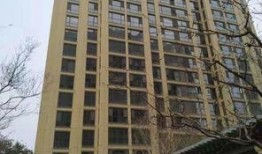 淄博民宿爆料事件最新,揭秘背后真相与行业反思